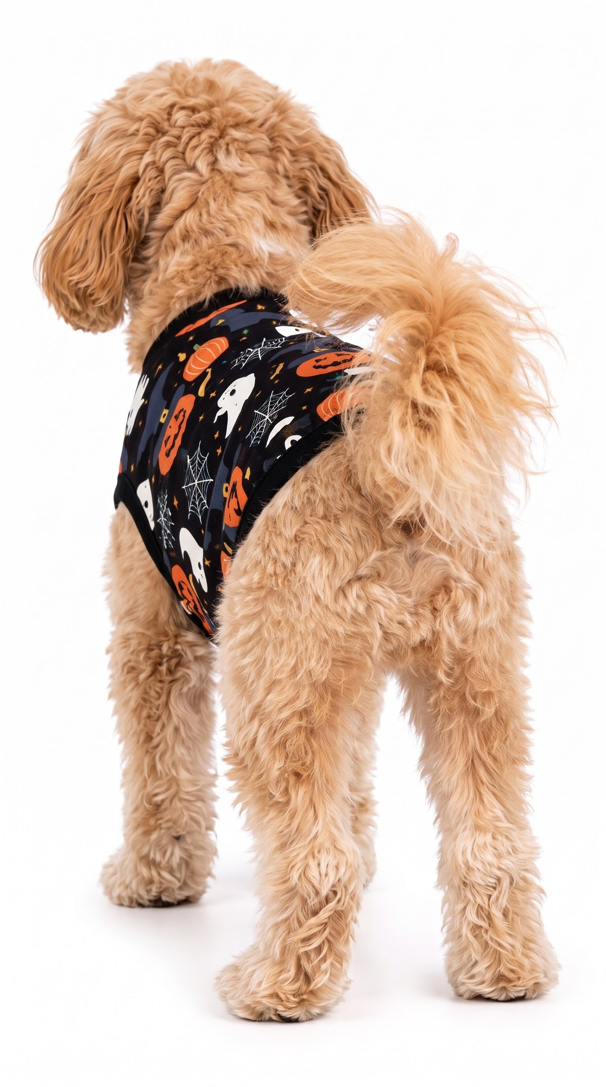 Coco - Camisa de Halloween