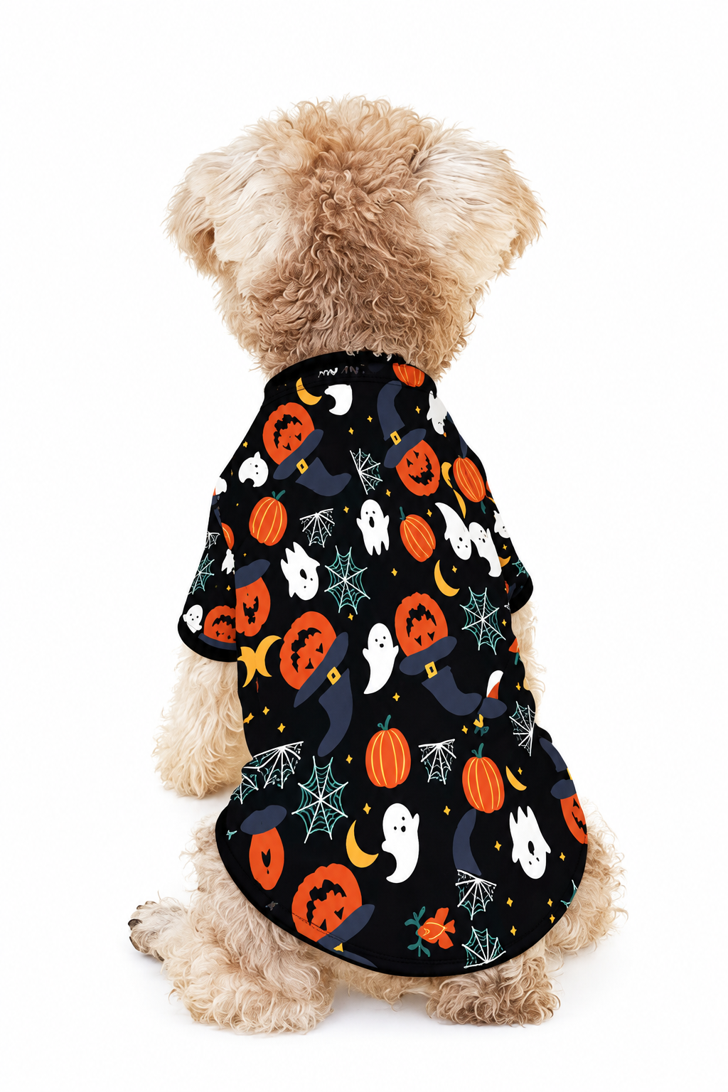 traje-halloween-mascotas-costa-rica