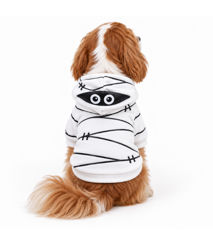 traje-halloween-mascotas-costa-rica