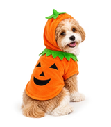 traje-halloween-mascotas-costa-rica