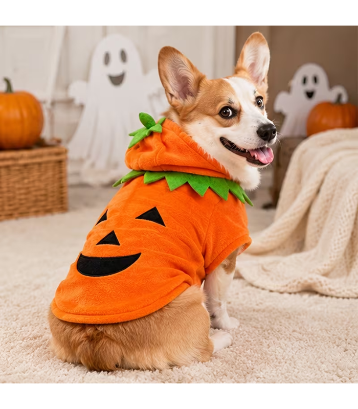 traje-halloween-mascotas-costa-rica