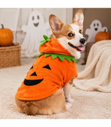 traje-halloween-mascotas-costa-rica