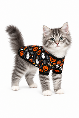 traje-halloween-mascotas-costa-rica